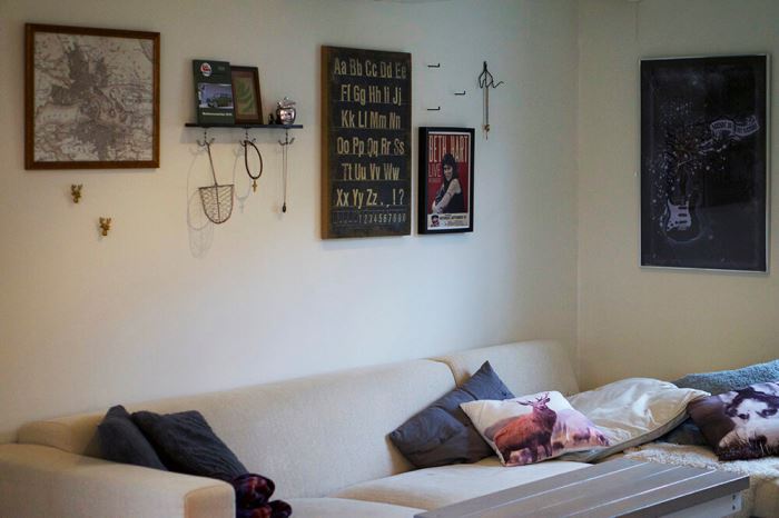 Torkade växter till tavla