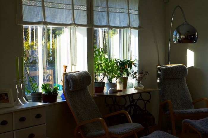 Vårkänslor inomhus