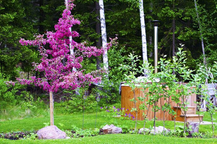 veckans-plan-tradgard-3